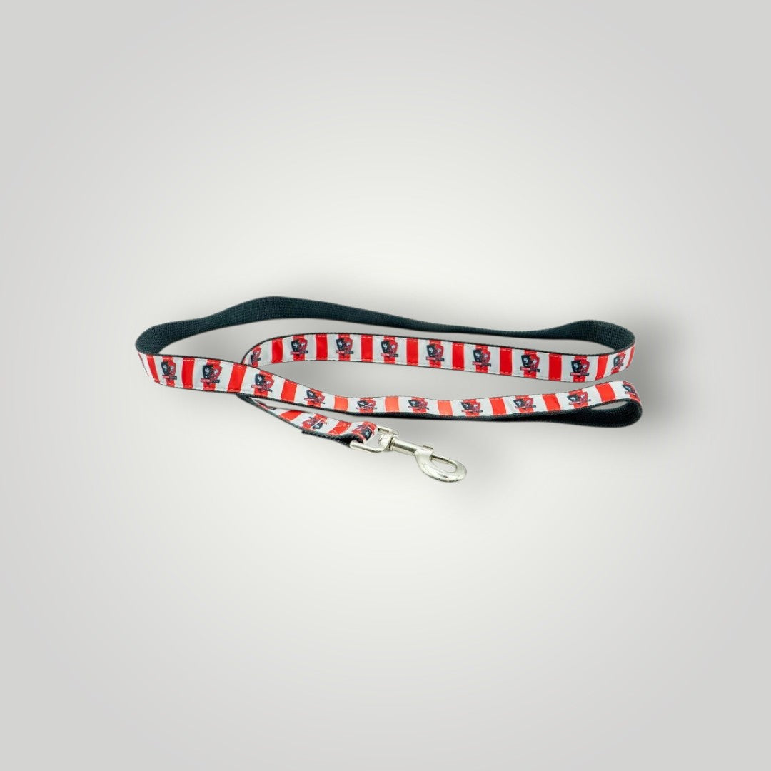 Exeter City Dog Lead & Collar