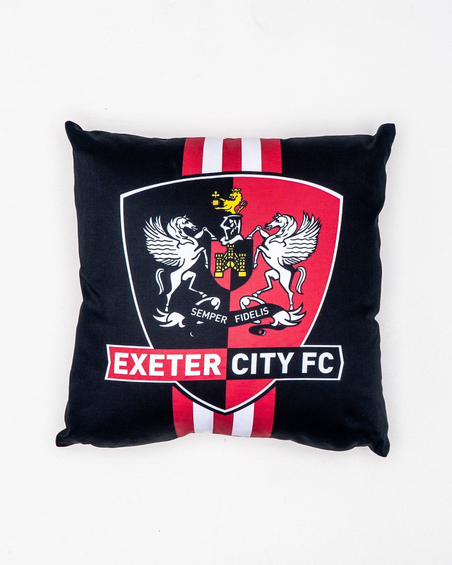 ECFC Cushion