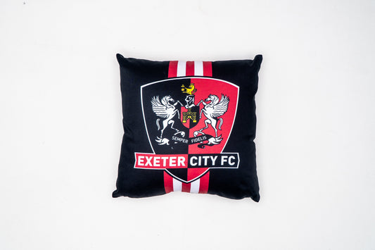 ECFC Cushion