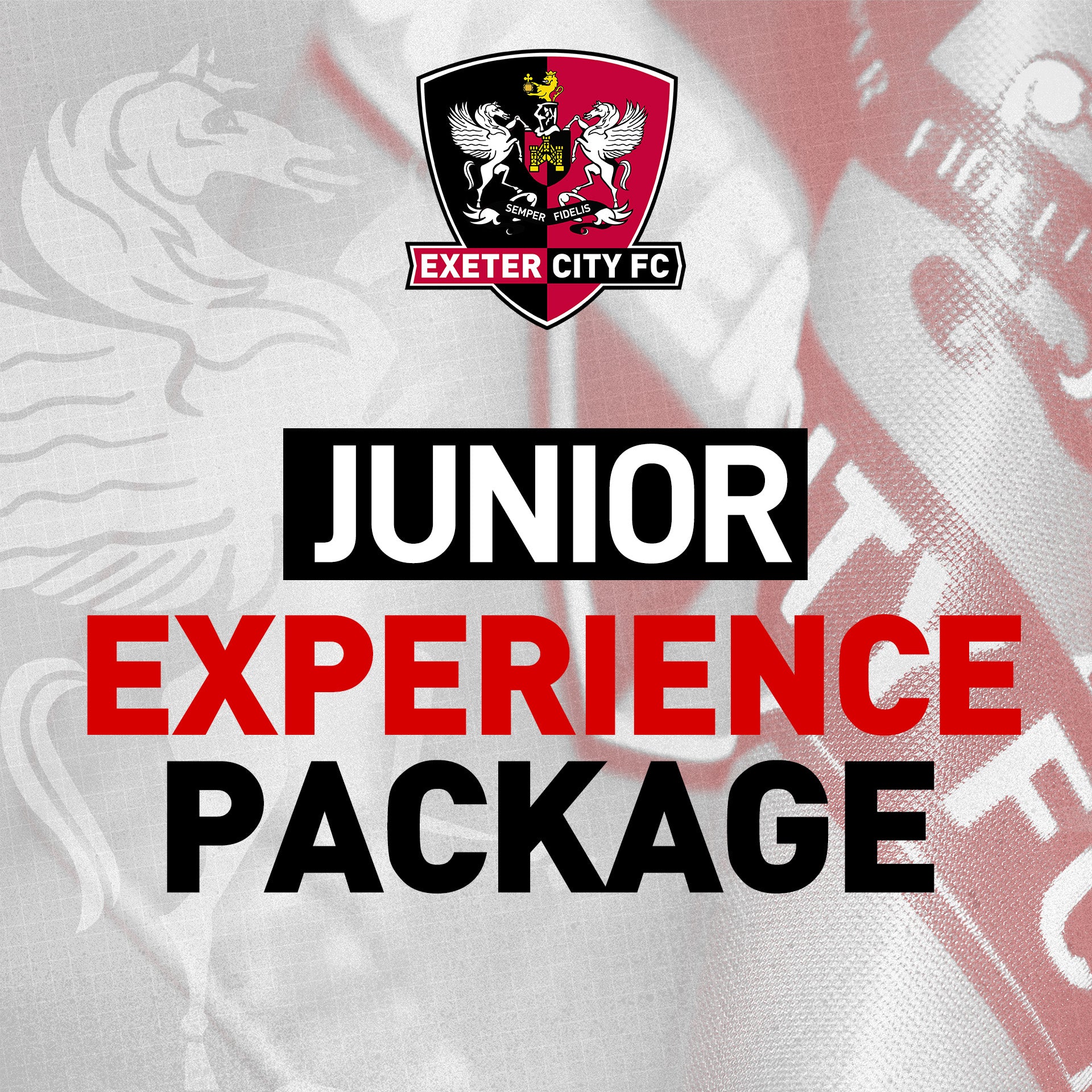 Exclusive Fan Experience Package - JUNIOR