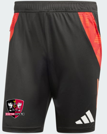 ***CLEARANCE STOCK*** Training Shorts - Junior