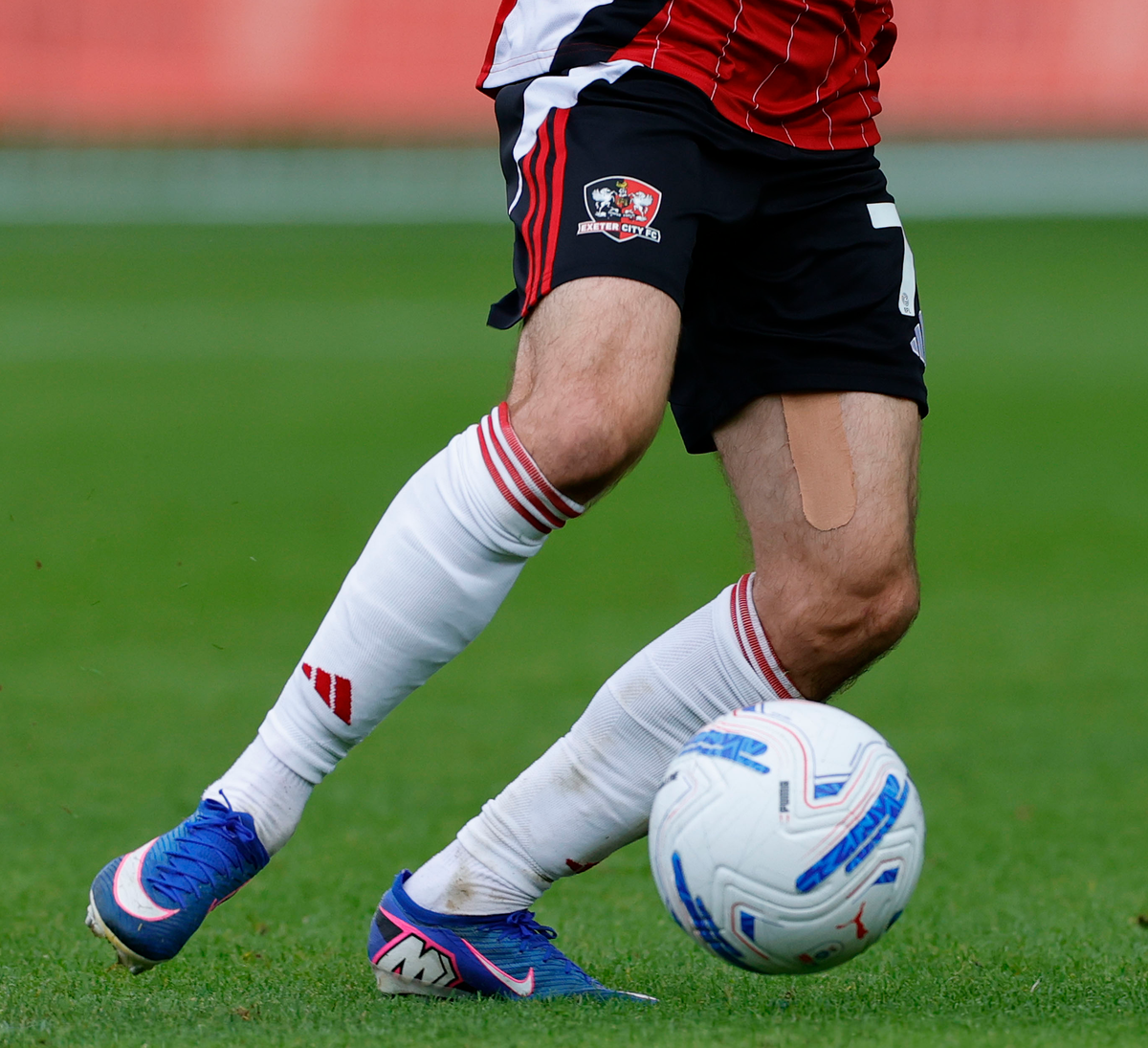 Exeter City 2026-27 Home Shorts - Adults