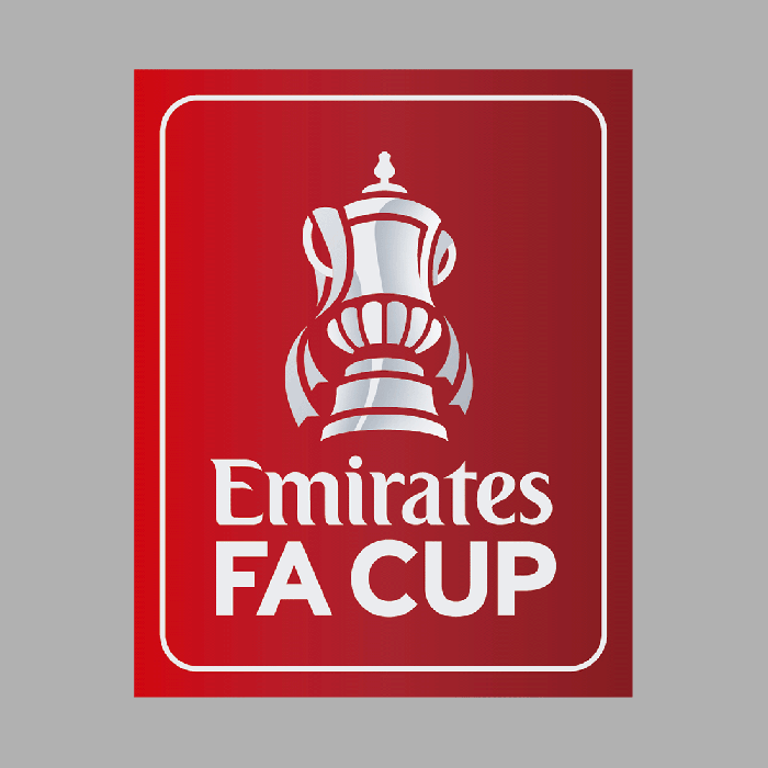 FA Cup Sleeve Patch