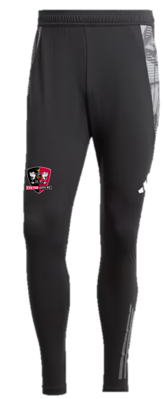 ECFC x Adidas 24/25 Black & Grey Training Pant - Junior