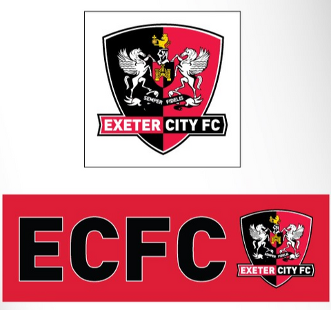 Exeter Sticker Car – Exeter City Club Shop